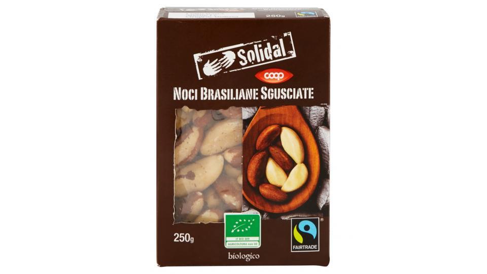 Noci Brasiliane Sgusciate