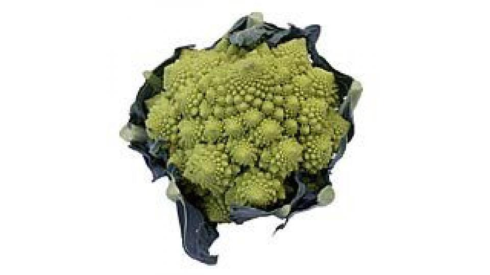 Cavolo Romanesco