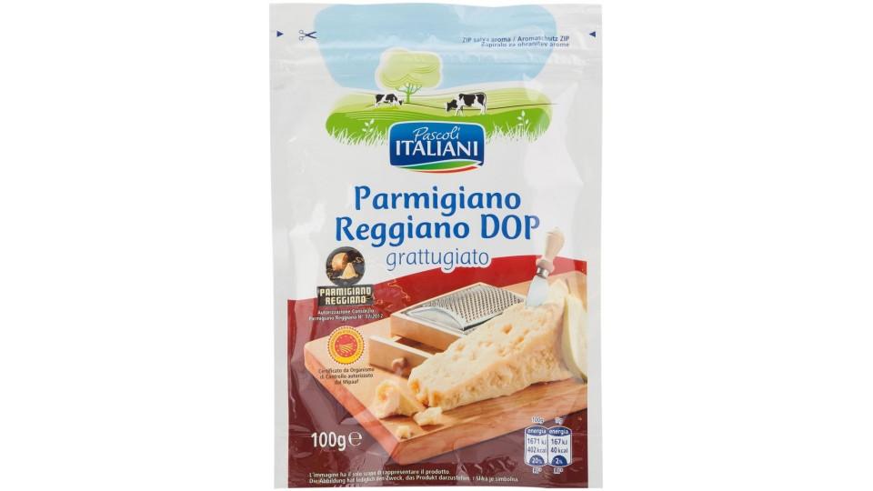 Parmigiano Reggiano Grattugiato Dop