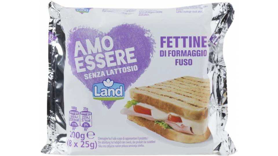 Fettine senza Lattosio