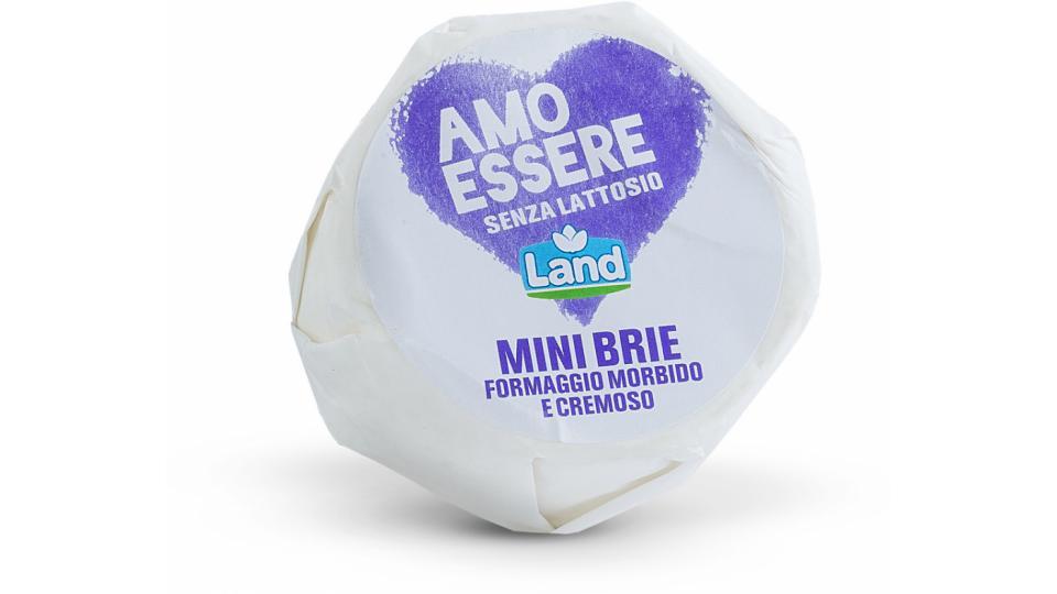 Mini Brie senza Lattosio