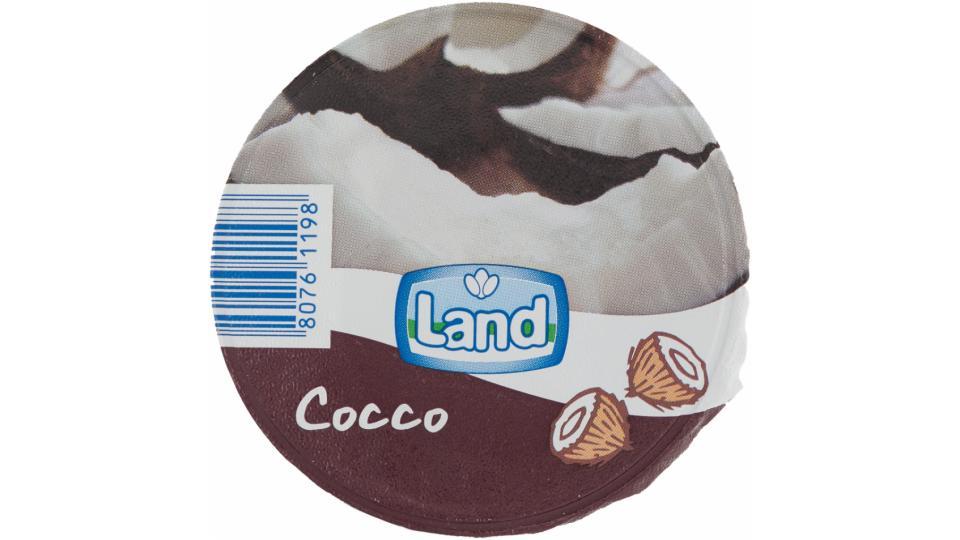 Yogurt al Cocco