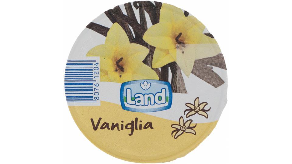 Yogurt Vaniglia
