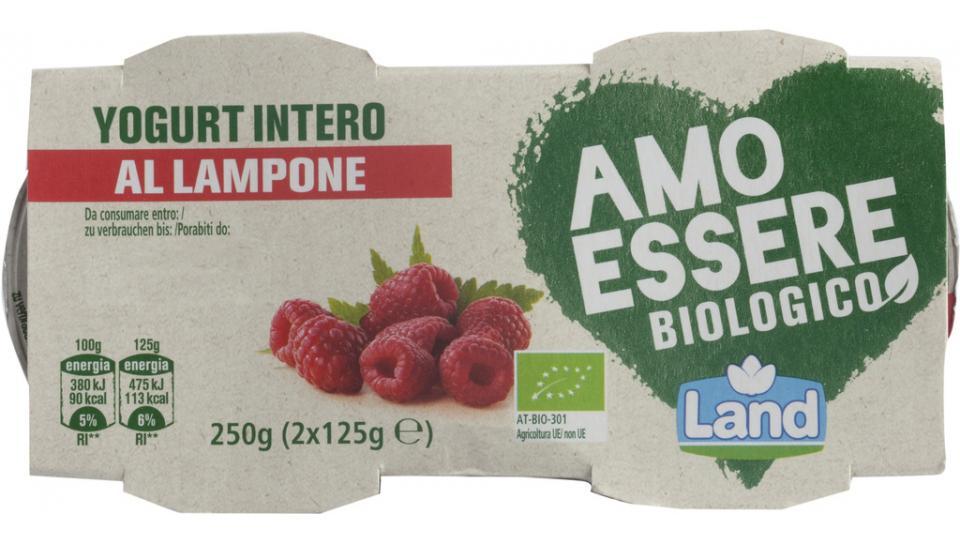 Yogurt Intero Lampone Bio