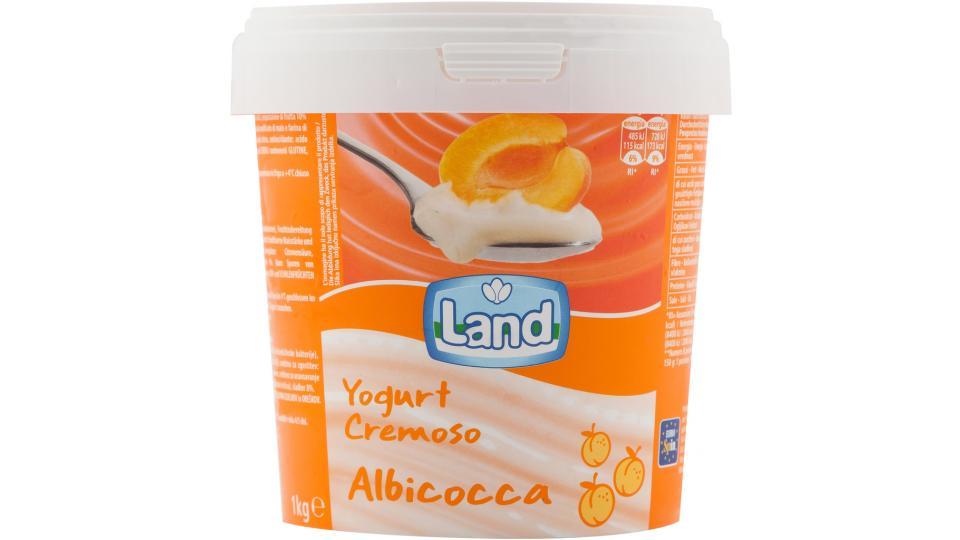 Yogurt Cremoso Albicocca