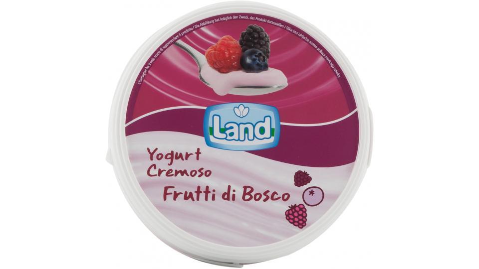 Yogurt Frutti di Bosco