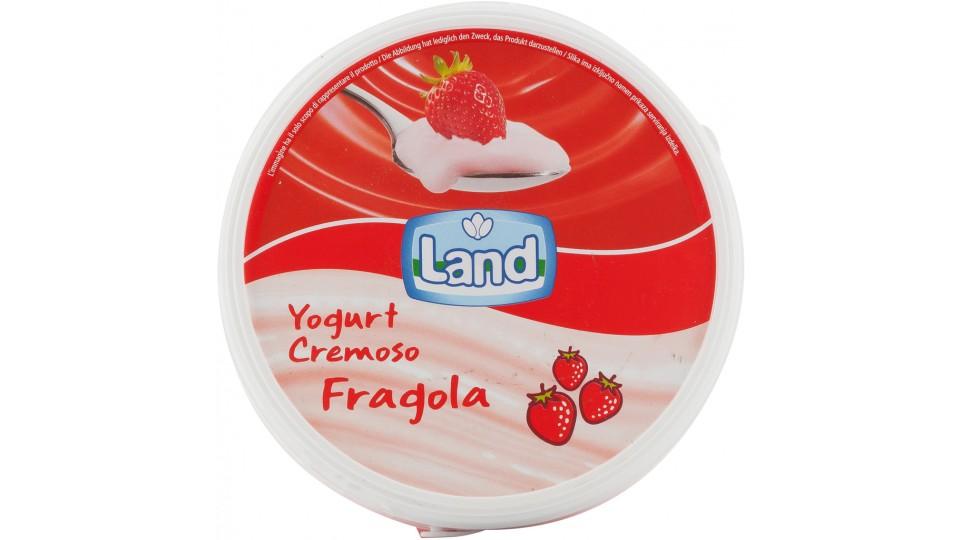 Yogurt Cremoso Fragola