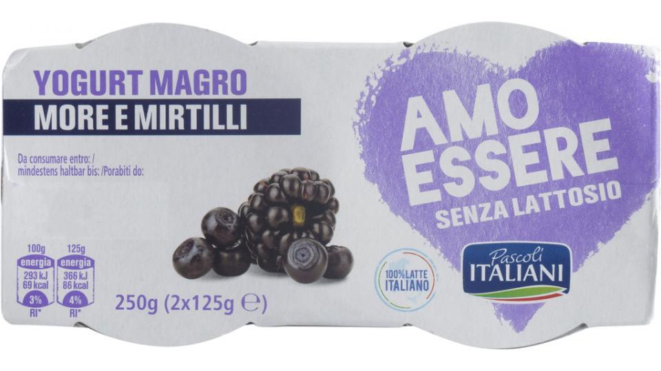 Yogurt Magro Mora Mirtillo senza Lattosio