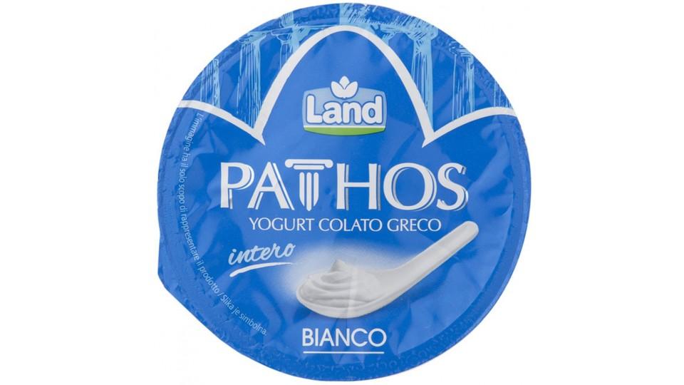 Yogurt Greco Intero Bianco