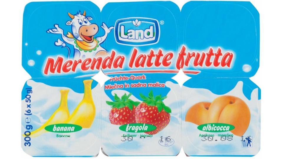 Merenda Latte alla Frutta