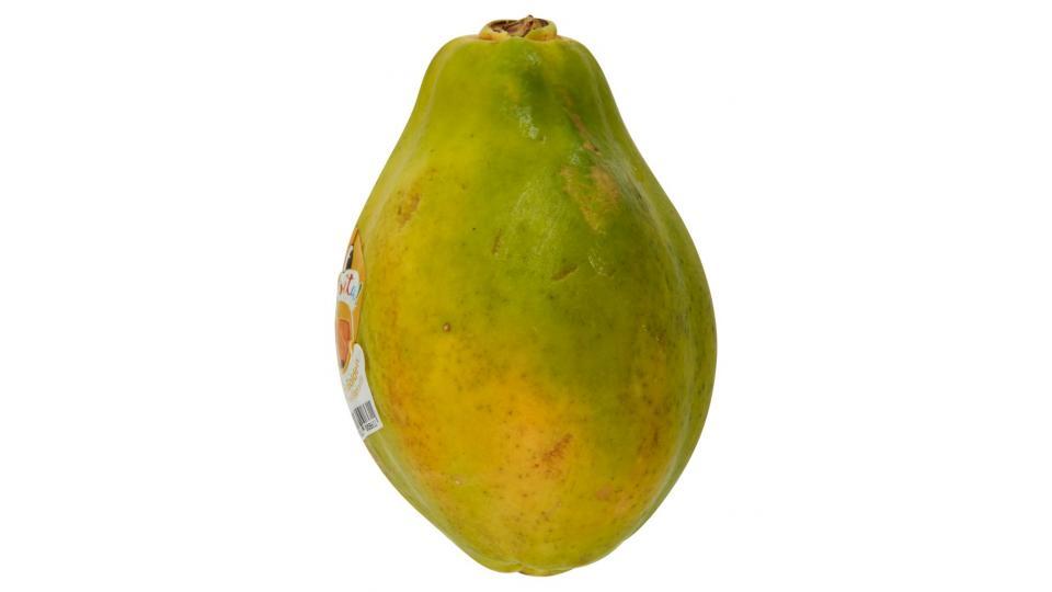 Papaya Golden