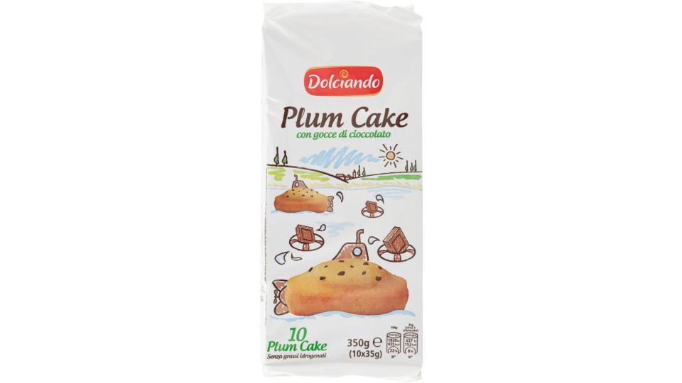 Plum Cake con Gocce Cioccolato 10pz