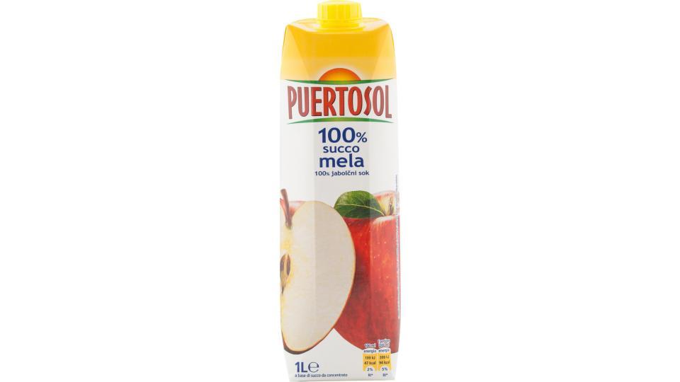 Succo Mela 100%