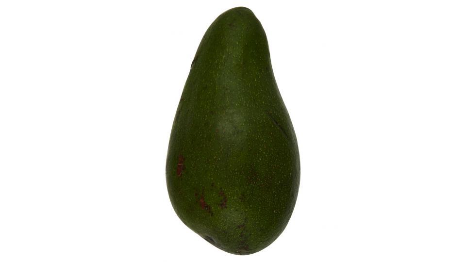 Avocado Verde