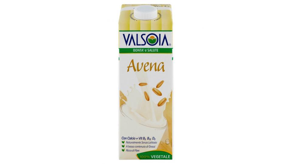 Avena