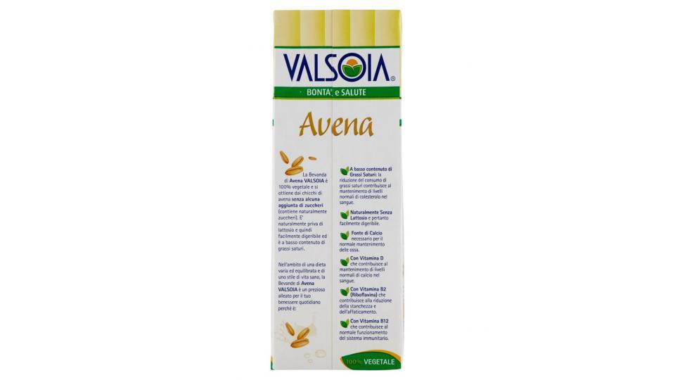 Avena