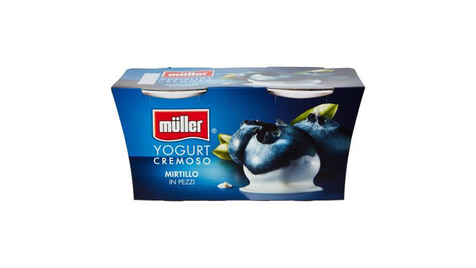 Yogurt Cremoso Mirtillo in Pezzi