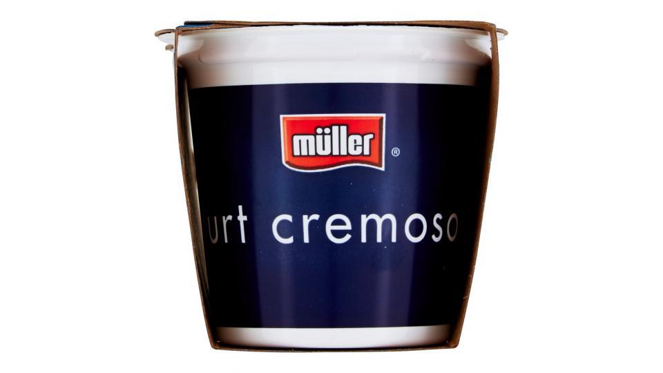 Yogurt Cremoso Mirtillo in Pezzi