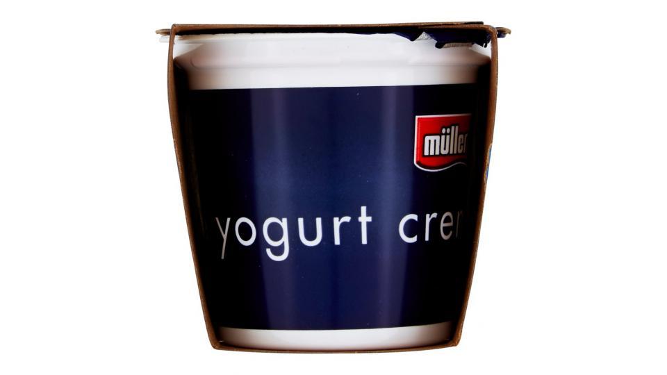 Yogurt Cremoso Mirtillo in Pezzi