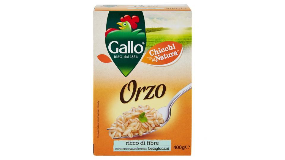 Chicchi di Natura Orzo