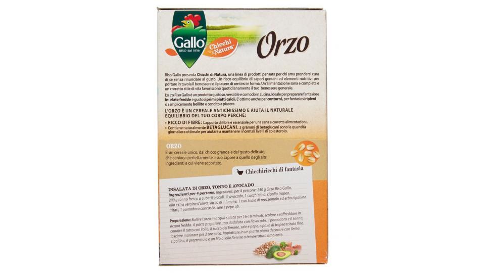 Chicchi di Natura Orzo