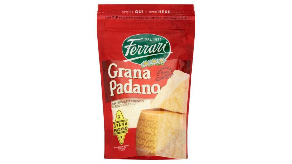 Grana Padano Grattugiato