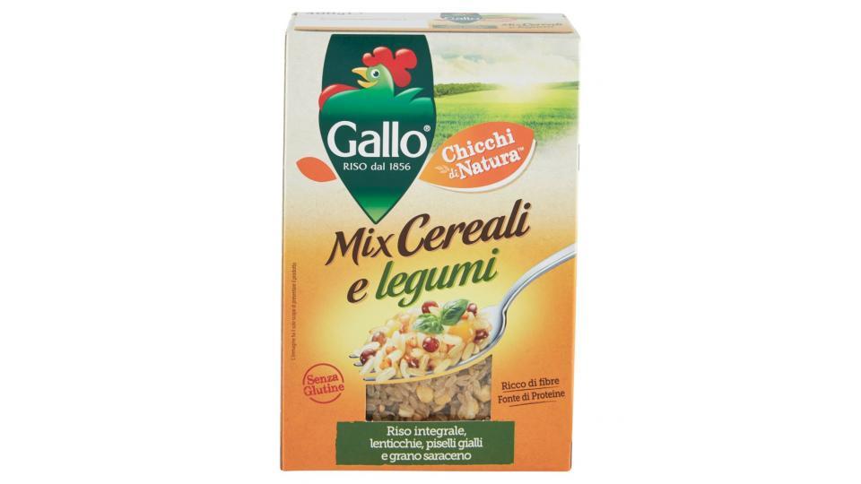 Chicchi di Natura Mix Cereali e Legumi