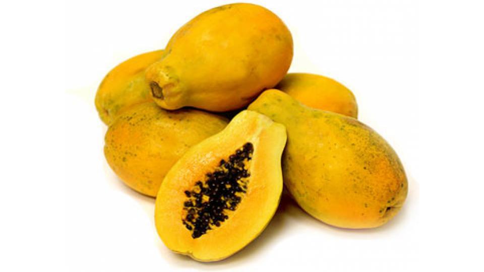 Papaya Golden 