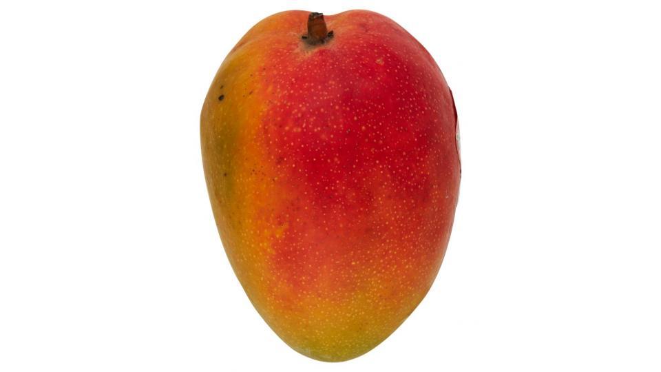 Mango Premium