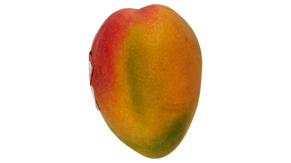 Mango Premium