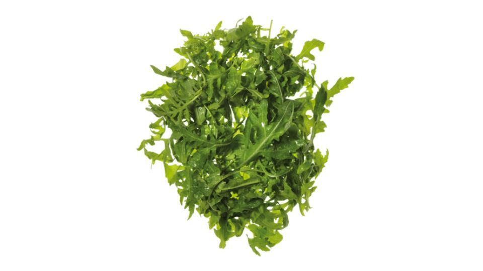 Rucola Bio g 100