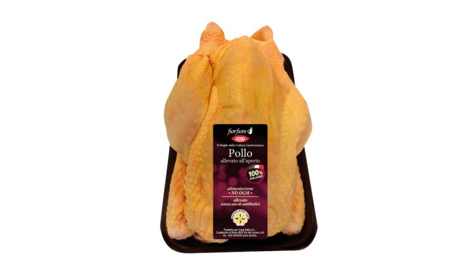 Pollo a Busto Allevato all'Aperto 1300 g Ca