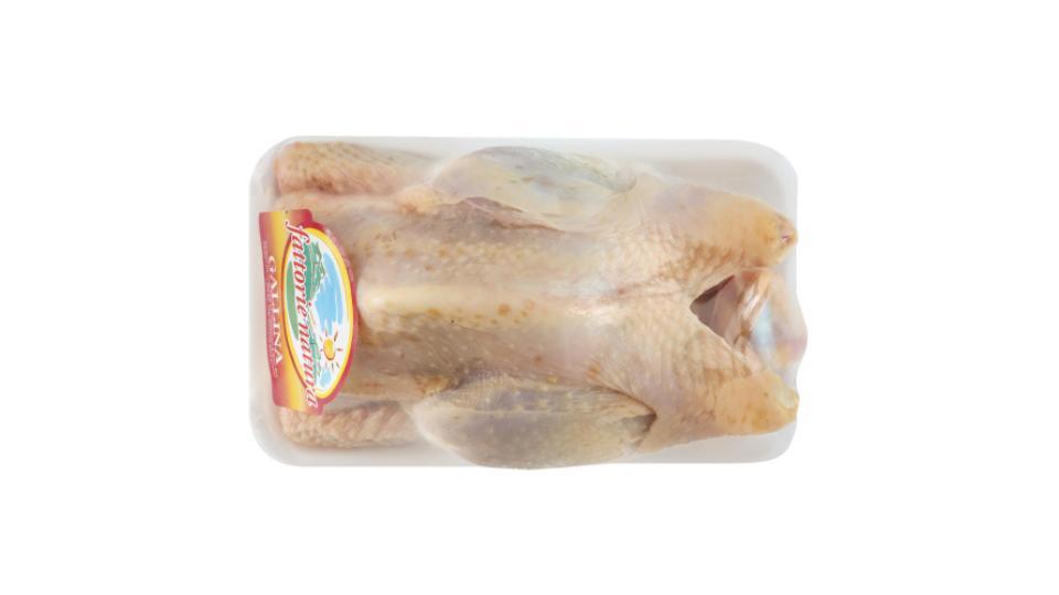 Gallina a Busto 1000 g Ca