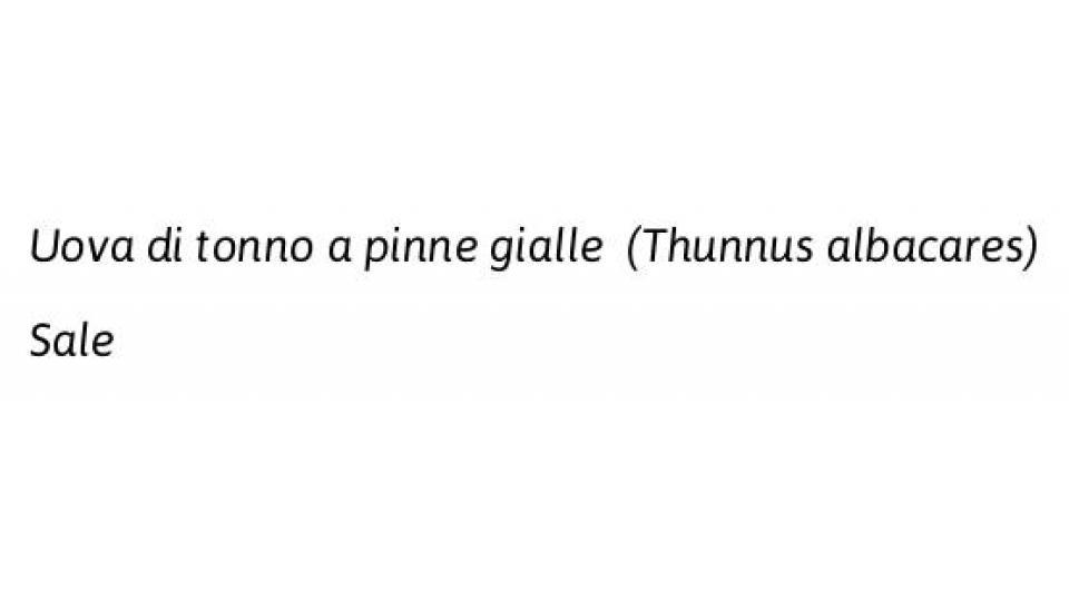 Bottarga di Tonno a Pinne Gialle Macinata