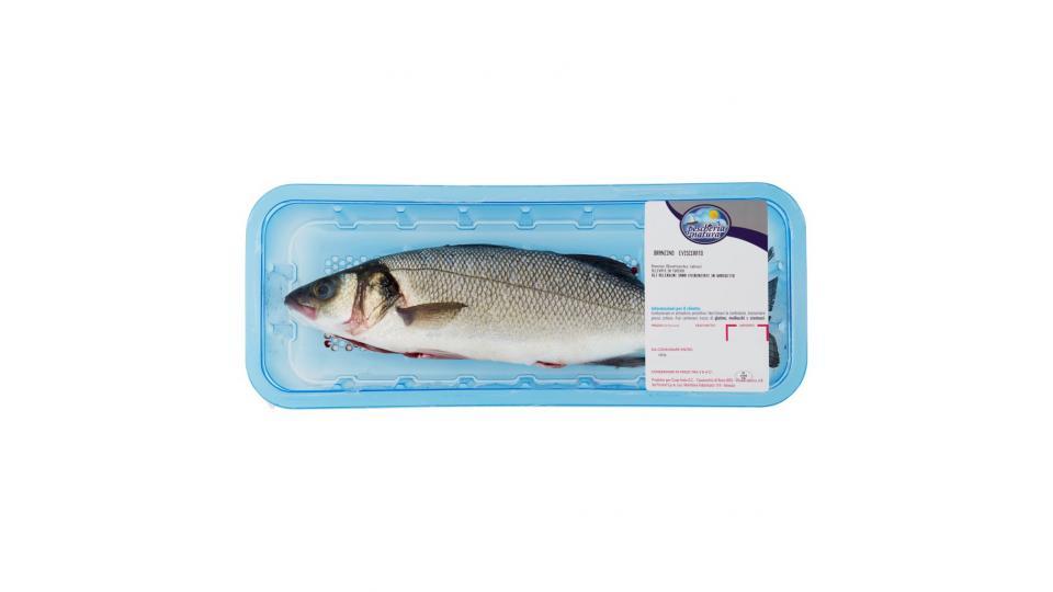 Branzino Eviscerato 0,280 Kg