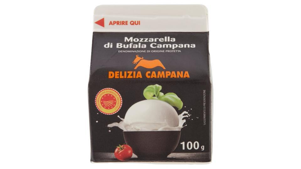 Mozzarella di Bufala Campana 100 g Brik