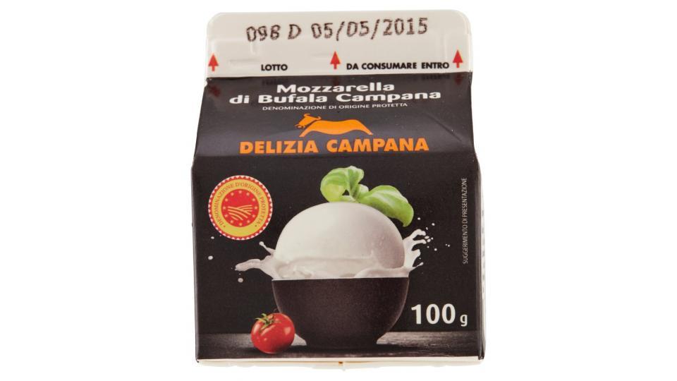 Mozzarella di Bufala Campana 100 g Brik