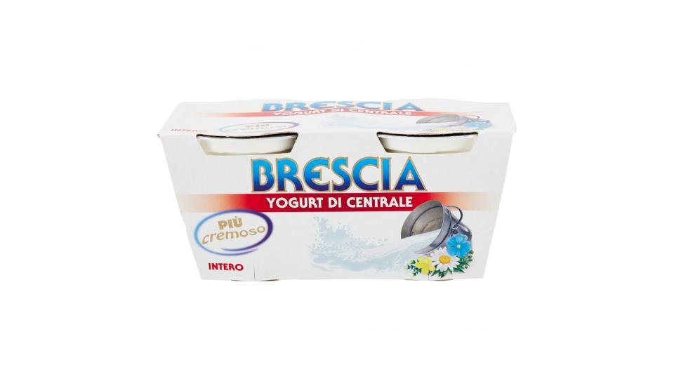 Yogurt di Centrale Intero 2 x 125 g