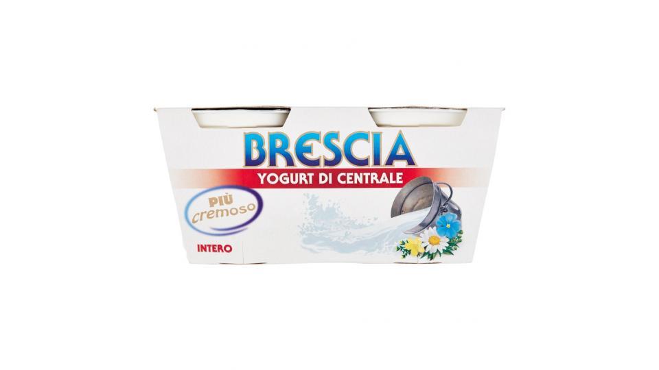 Yogurt di Centrale Intero 2 x 125 g