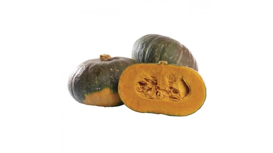 Zucca Delica Locale