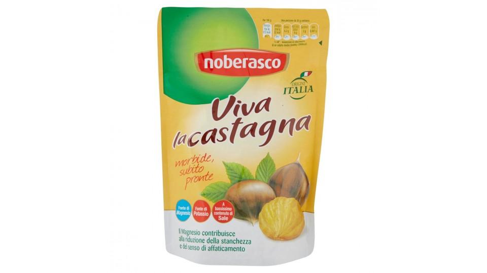 CASTAGNE MORDIDE