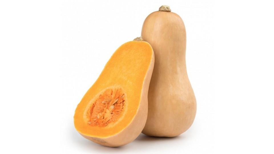 ZUCCA BUTTERNUT