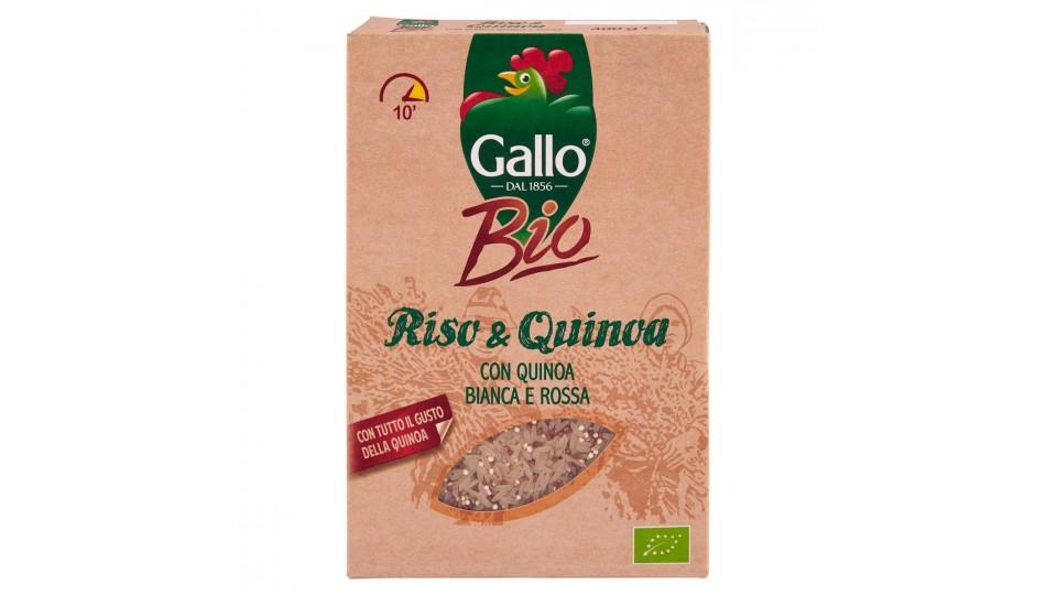 RISO E QUINOA 10 MINUTI BIO