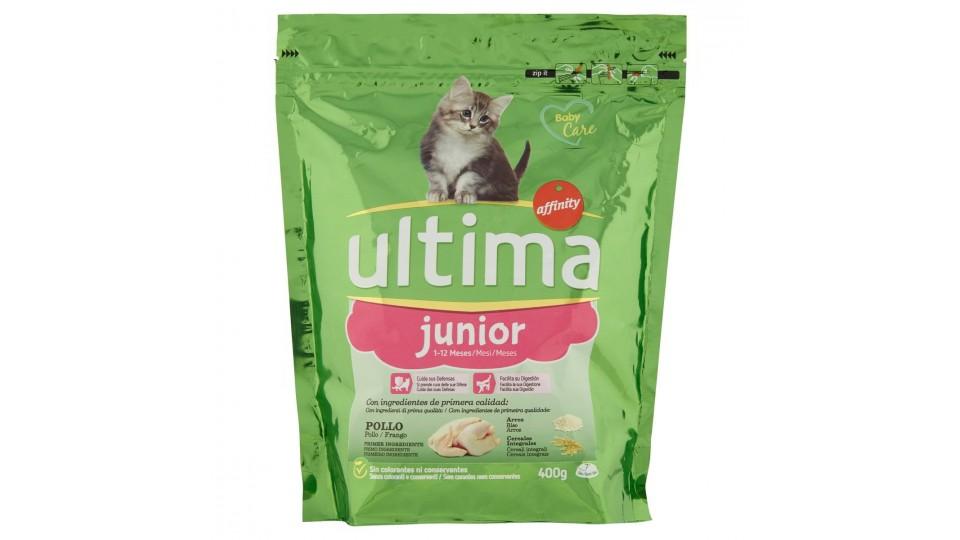 ALIMENTO GATTO JUNIOR