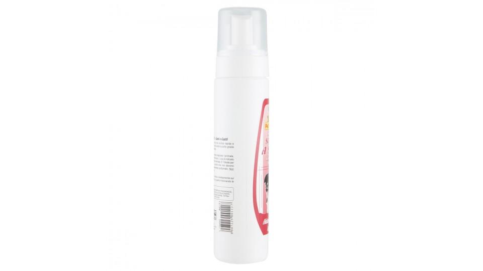 SHAMPOO SECCO SPRAY