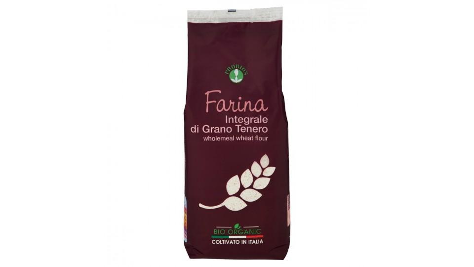 FARINA DI GRANO TENERO INTEGRALE