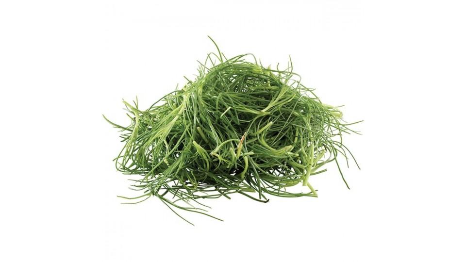 AGRETTI