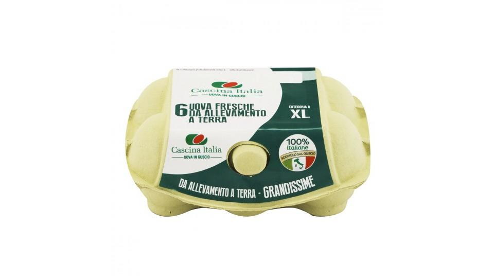 UOVA FRESCHE XL ALLEVAMENTO TERRA