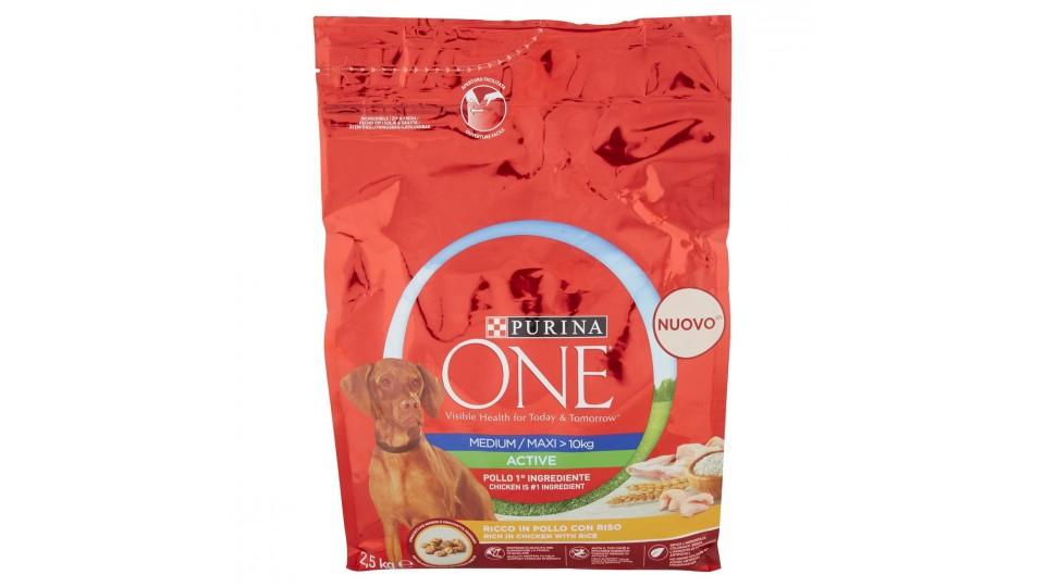 ALIMENTO CANI ACTIVE C/POLLO RISO