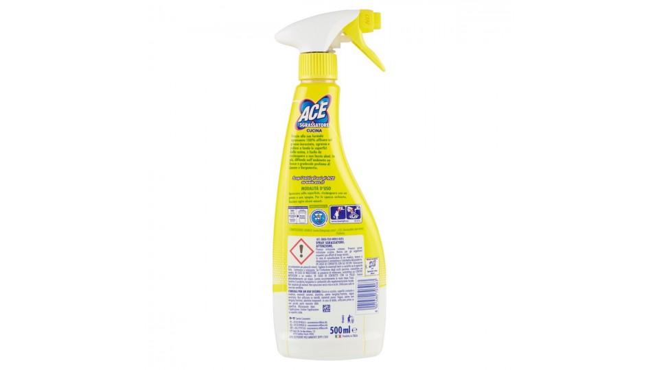 SPRAY SGRASSATORE CUCINA